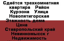 Сдаётся трехкомнатная квартира › Район ­ Курзона › Улица ­ Новопятигорская › Этажность дома ­ 10 › Цена ­ 20 000 - Ставропольский край, Невинномысск г. Недвижимость » Квартиры аренда   . Ставропольский край,Невинномысск г.